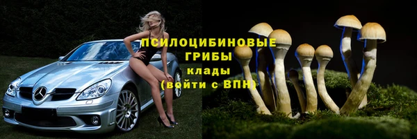 мет Алзамай