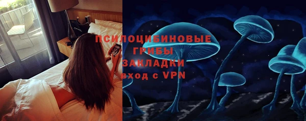 ПСИЛОЦИБИНОВЫЕ ГРИБЫ Алексеевка