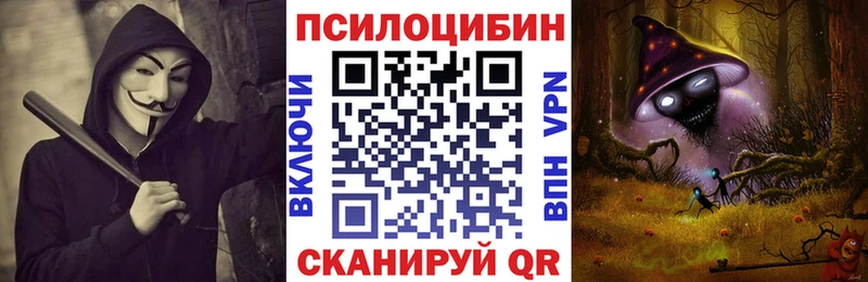 закладка  Карабаш  Псилоцибиновые грибы GOLDEN TEACHER 